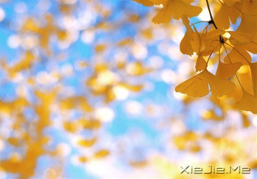 д�˽����ʣ�������һ�� (10)