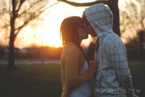 �������ף��������ף���������ϧ (10)