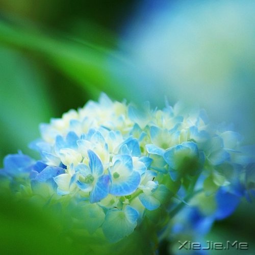 ����ľŴ��ǻ� (3)