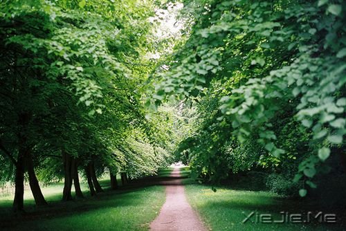 逃离等死模式,算一算你的等待成本
