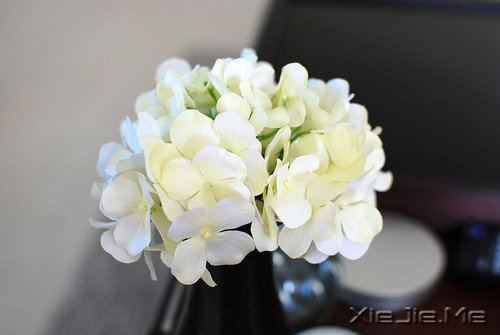 ������¼����ʲôҲ������������ (12)