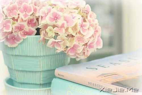 ���˶��ܼ�į