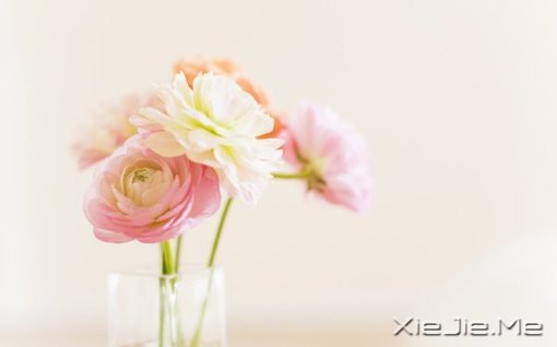 ���Ҫѡ����ѡ��Ŀǰ�������������