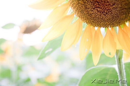 ���֣�20ƪ�ж���΢С˵