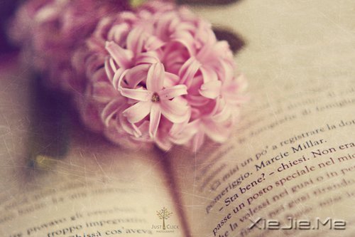 文字:我叫刘大黑