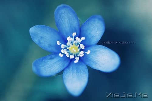 Խ����Խ�µ� (2)