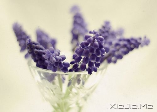 25�������ǻ���¼ (1)