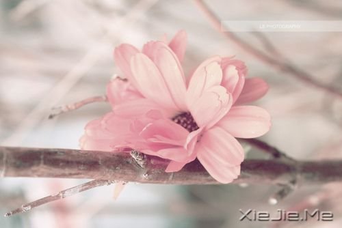 Ψ���Ļ���ͼƬ (7)