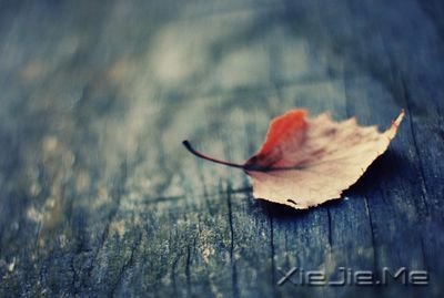 只有你的现在才能支配你 (4)